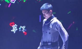 刘德华2007年演唱会