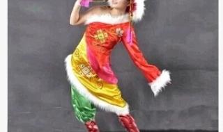 桃李杯舞蹈大赛 桃李杯舞蹈大赛