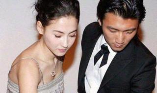 张柏芝点赞王菲