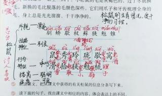 五年级上册语文 五年级上册语文