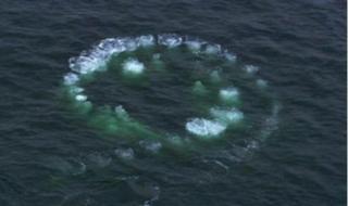 神舟十二号发射 神舟十二号发射