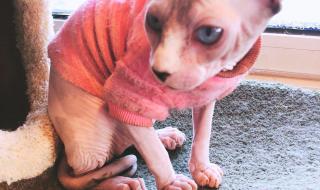 石景山搬家公司 石景山搬家公司