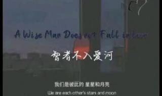 智者不入爱河下一句 智者不入爱河下一句