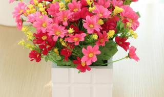 央视评小花梅案 央视评小花梅案