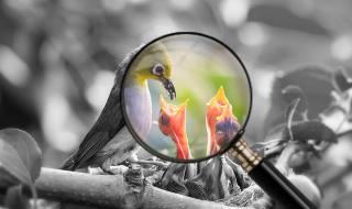 新手ps入门教程 新手ps入门教程