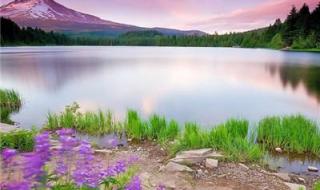 男人旺运的头像照片