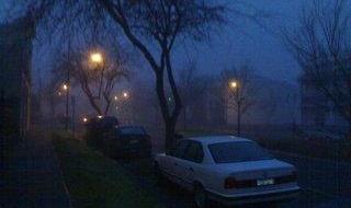 这个冬天有点冷 这个冬天有点冷