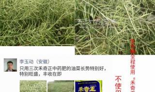 叶面肥厂家报价 叶面肥厂家报价