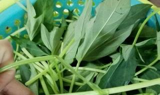 红薯的多种做法大全