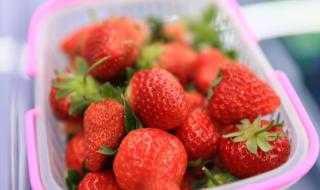 无公害食品 无公害食品