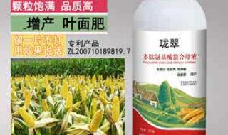 玉米专用肥 玉米专用肥