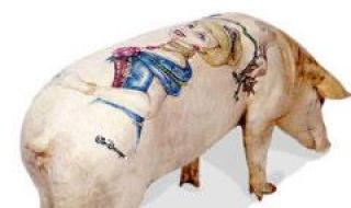 纹身艺术家 纹身艺术家