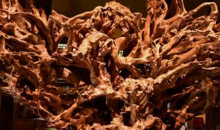 浙江开化县 浙江开化县