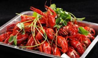 学厨师培训 学厨师培训