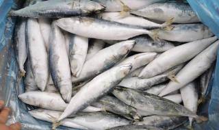 鱼占念什么 鱼占念什么