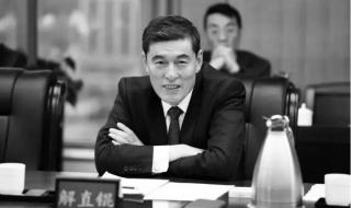 中植系有哪些公司