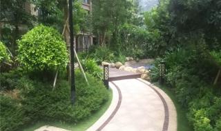 汕头金园实验中学