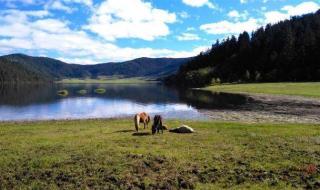 千湖国是哪个国 千湖国是哪个国