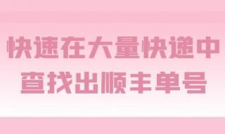 顺丰单号快递查询 顺丰单号快递查询