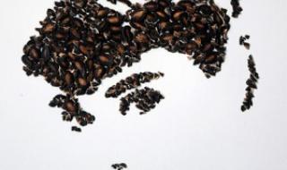 头像国旗怎么弄 头像国旗怎么弄