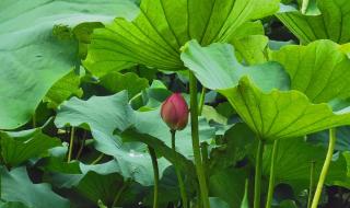 上海嘉定区地图 上海嘉定区地图