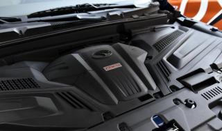 企鹅找北极熊玩 企鹅找北极熊玩