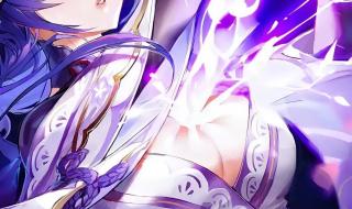 原神反雷电将军特训