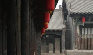 舍不得孩子套不住狼 舍不得孩子套不住狼