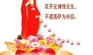 今生我在修佛缘原唱 今生我在修佛缘原唱