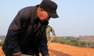 田间欢顾来的第一次 田间欢顾来的第一次