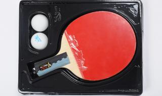 十大乒乓球拍底板排名