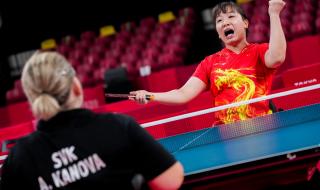 中国乒乓球金牌统计表 中国乒乓球金牌统计表